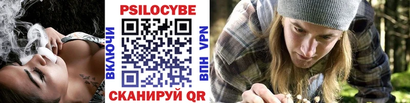 Купить где  Щучье  Галлюциногенные грибы мицелий 
