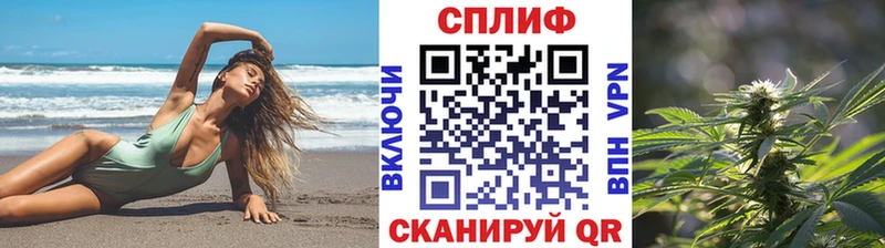 Купить где  Щучье  Канабис Amnesia 